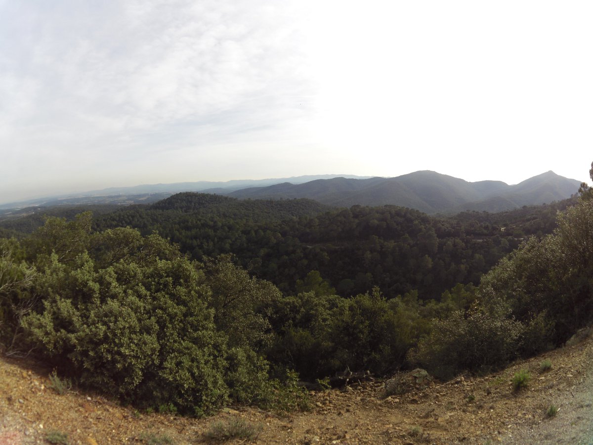 Not a bad place to get the miles in! Looking forward to 2016 with @PMR_Toachim