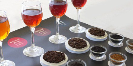 Dilmah's tweet photo. There is no better tea-maker than nature, and our task is to nurture the #terroir of fine tea. #EdwinSoon #DilmahSOT https://t.co/PUsJXIUgVa