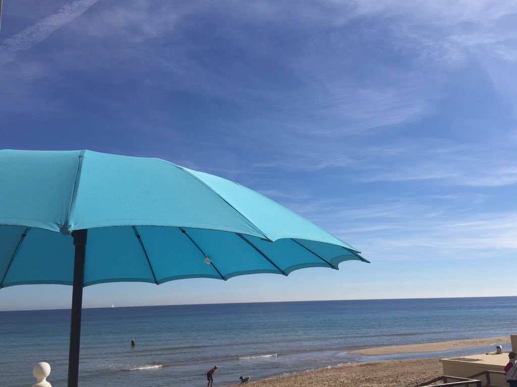 geraldineDyoga's tweet photo. 🌴Alicante 💜😍#idiansummer #LifeisBeautiful https://t.co/pojcvOfh41