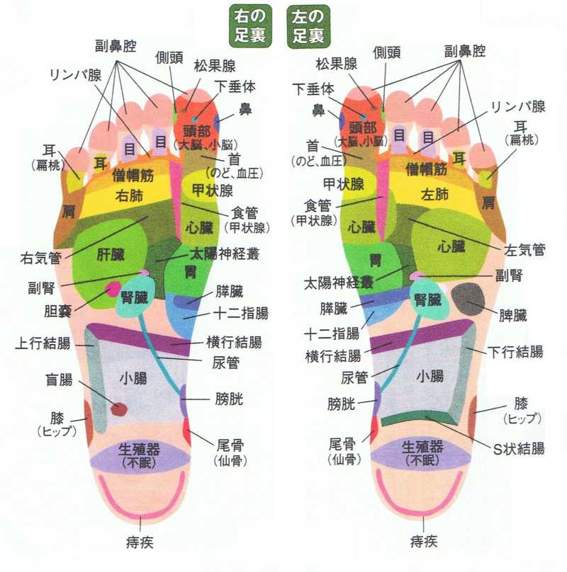 U 揉めば 図解 足裏の反射区一覧 治る T Co Lmvg4xyf1i
