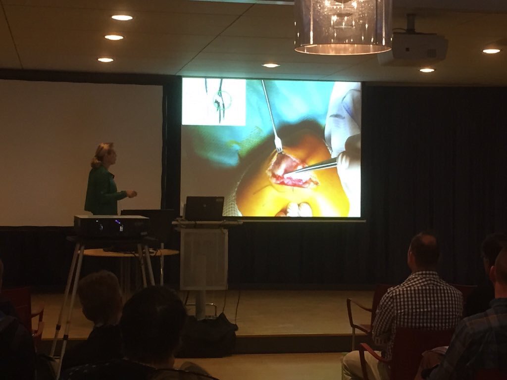 Denise Eygendaal presenteert op Elleboogsymposium #elleboog2015 m <a href="/ORTAMPHIA/">Orthopedie Amphia</a> <a href="/AmphiaZKHuis/">Amphia Ziekenhuis</a> pic.x.com/gX6LVsFV7O