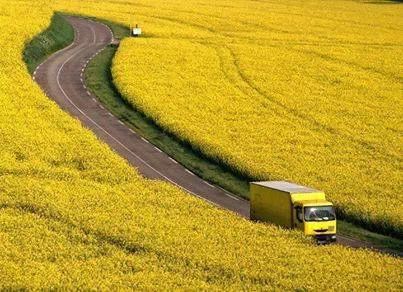 Himael Hasan (@himael_hasan) on Twitter photo 