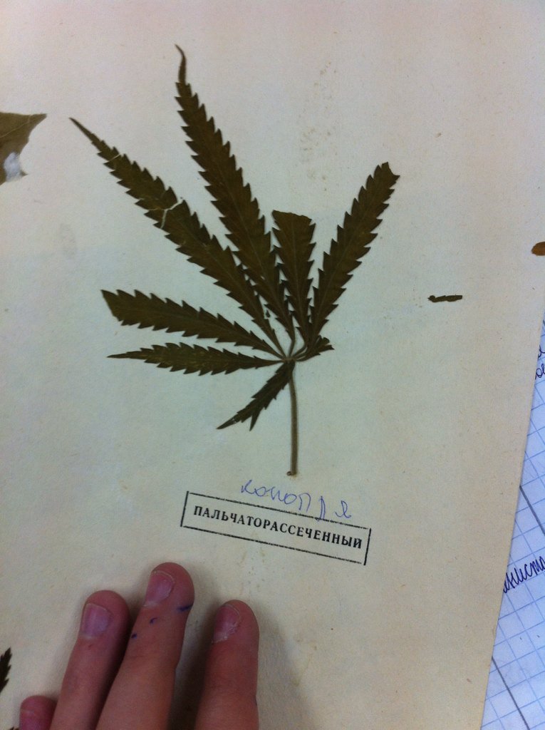 lin_wolf13's tweet image. #Биология 😂😂😂 #омг