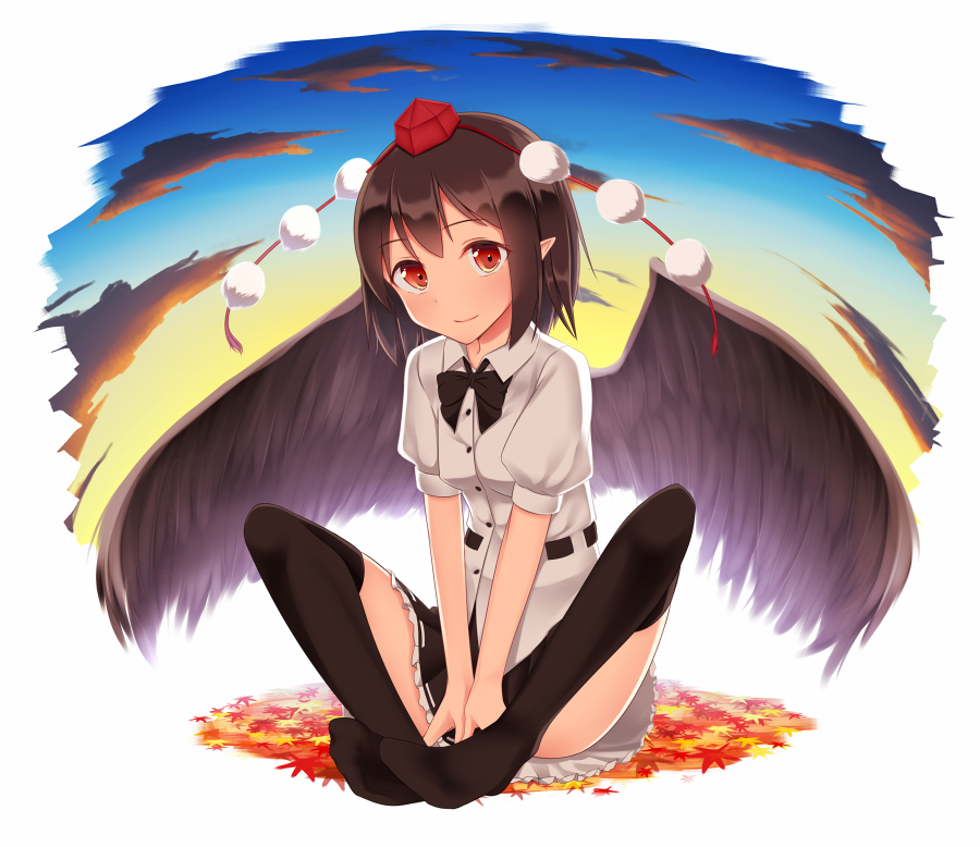 射命丸文 「秋文 」|丸のイラスト