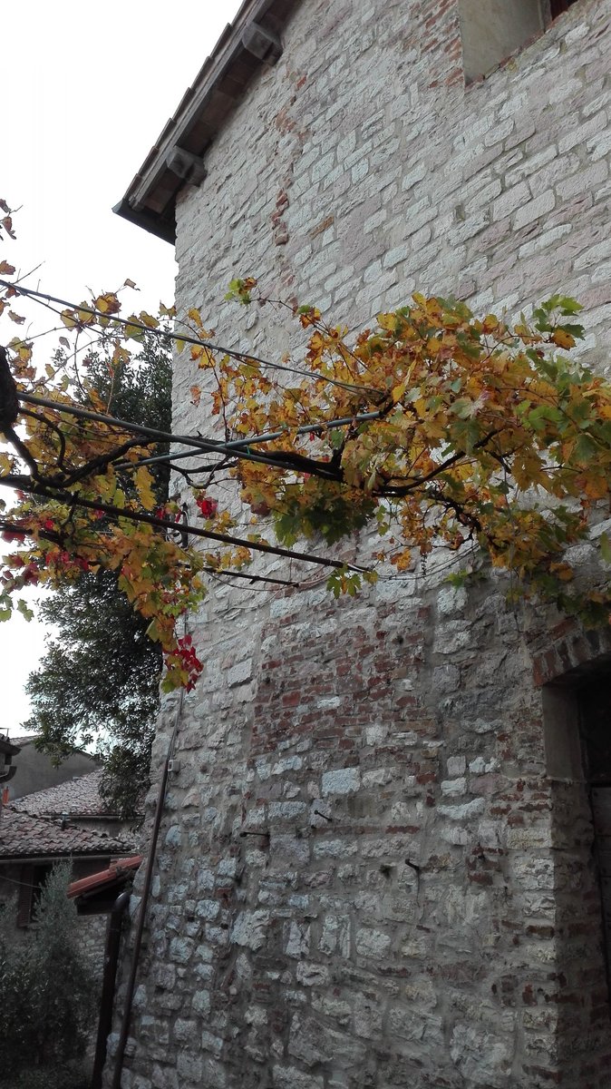 myitalianissimo's tweet photo. A postcard from #Corciano #ItalianAutumn #Umbria #ItalianVillages #IBorghiPiùBelli https://t.co/gwvOd7WLXo