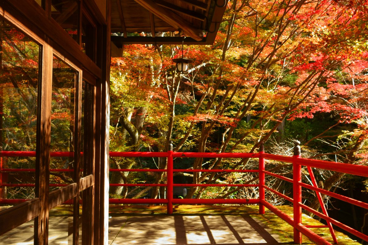 京都の紅葉 泉涌寺 雲龍院 今熊野観音寺 東福寺通天橋 勝林寺 高台寺 圓徳院 光明院 清水寺 Togetter 京都の紅葉 泉涌寺 雲龍院 今熊野観音寺 東福寺通天橋 勝林寺 高台寺 圓徳院 光明院 清水寺 Togetter
