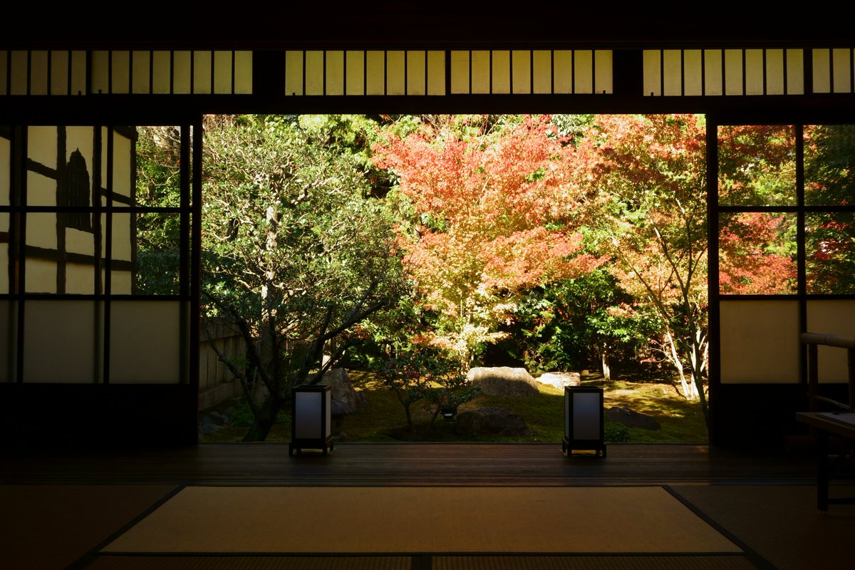 京都の紅葉 泉涌寺 雲龍院 今熊野観音寺 東福寺通天橋 勝林寺 高台寺 圓徳院 光明院 清水寺 Togetter 京都の紅葉 泉涌寺 雲龍院 今熊野観音寺 東福寺通天橋 勝林寺 高台寺 圓徳院 光明院 清水寺 Togetter