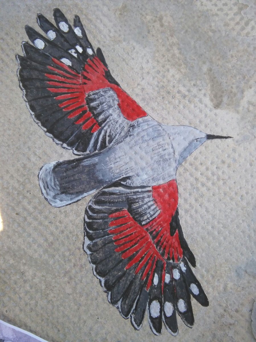 Restaurado el Treparriscos de la Foz de Arbaiun. ¡Qué colorido! Buen lugar para el concurso #VolandoNavarra