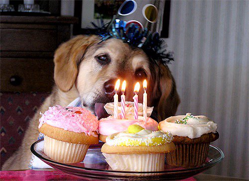 Happy birthday to my good friend Liz Almond !!!🎂🌸😃