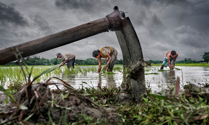 SocialMissions's tweet photo. A day's work around the world - in pictures (via The Guardian) - https://t.co/tdUT5C1z1F https://t.co/se9Mrabjqu