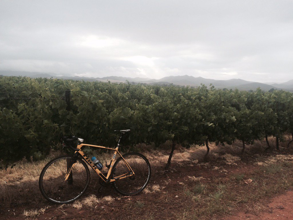 gcarstens's tweet photo. https://t.co/p9lDg7mnx1