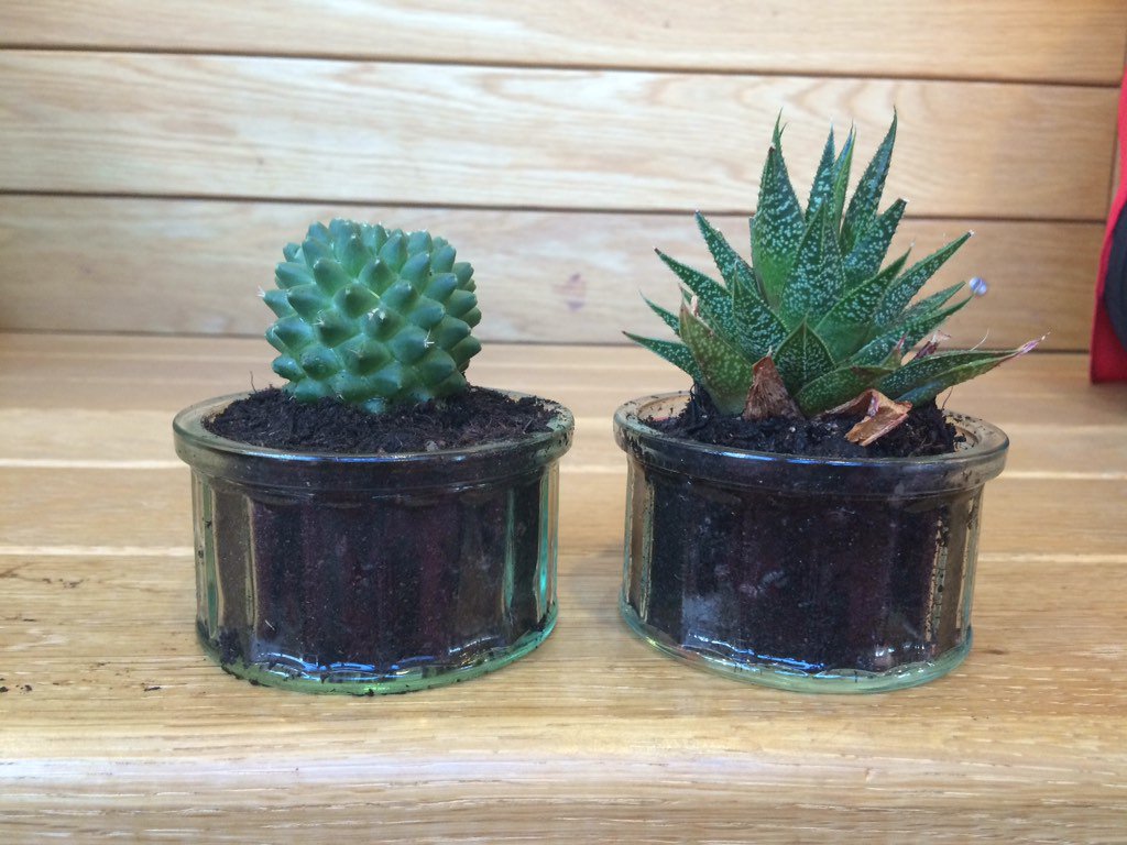 naomhgallagher's tweet photo. The conference that keeps on giving! Rab &amp; Angus will adorn the @CoE_NI office thanks to Trellis #UKCRC15 https://t.co/3elFkttVEb