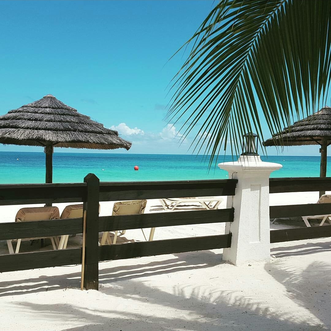 HotBeachSpots's tweet photo. antiguabarbuda: W̶i̶n̶d̶ ̶C̶h̶i̶l̶l̶ Ocean Breeze!
#LoveAntiguaBarbuda #FallinLove365
SandalsResorts https://t.co/9DnLvzU72y
