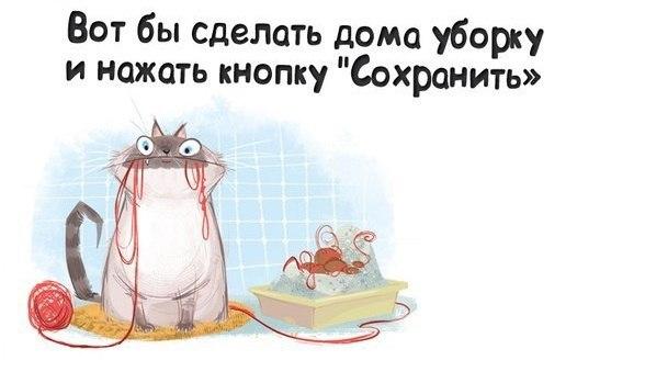 Картинки про уборку смешные