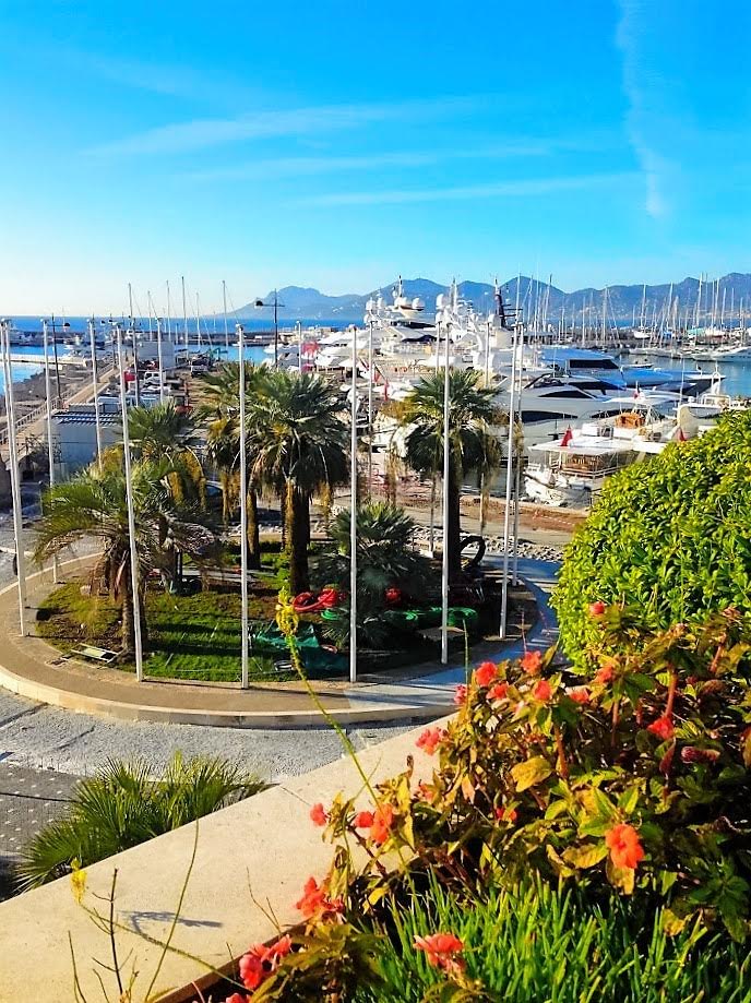 Meetings in #Cannes are the best. And staying @majestic_cannes wonderful. See you all @ILTM_events #France
