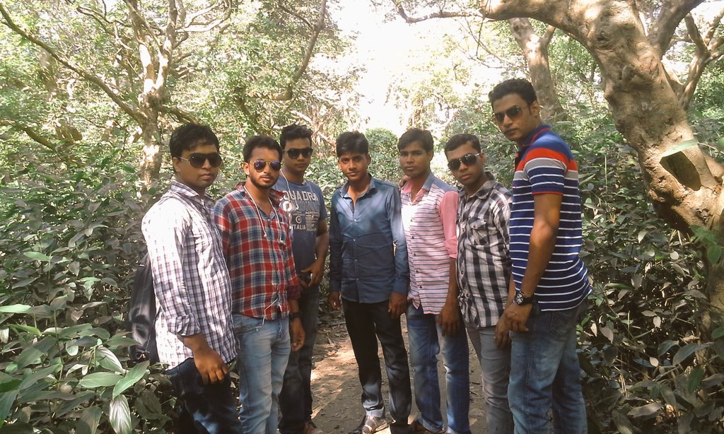 my friends