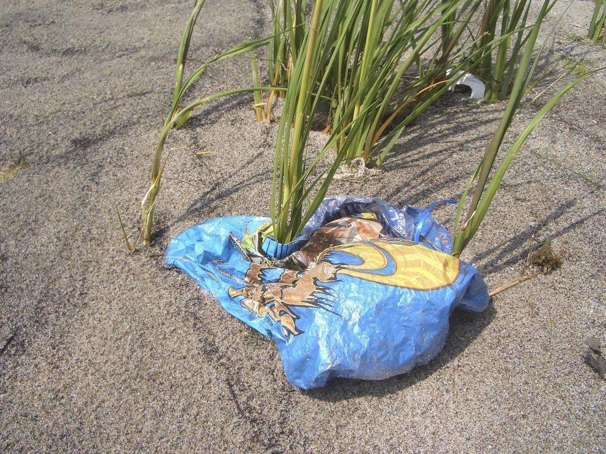 LISStudy's tweet image. The #LISound Plan aims to decrease marine debris. #ProtectLISound  ow.ly/Ux8l8