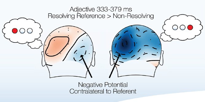 FrontPsychol's tweet image. EEG can track timing of #ReferenceResolution in visual worlds fron.tiers.in/go/Ta1Y1G #Linguistics #VisualMemory