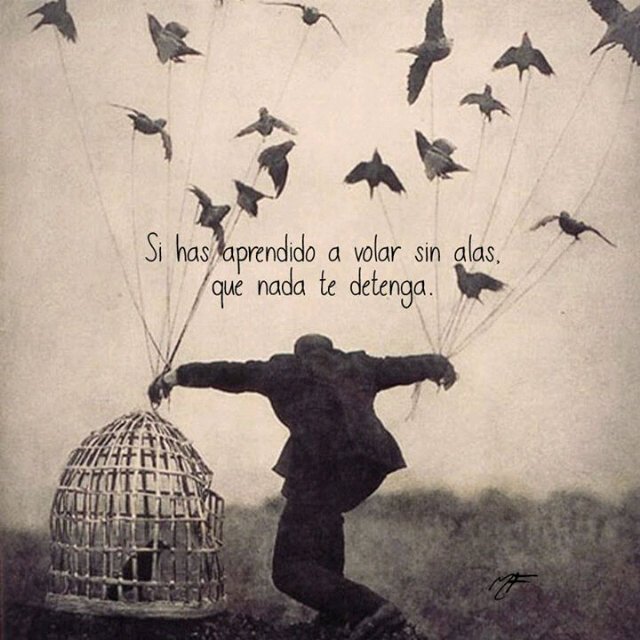 madeleyfp's tweet photo. Sin has aprendido a volar sin alas, alza tu vuelo y no te detengas. #FelizViernes #Soñar #Life https://t.co/leilqFBkhE