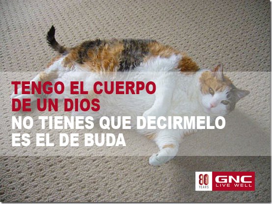 ColombiaGNC's tweet photo. Por que siempre hay que sonreír, reír es salud. https://t.co/VhqaVjaJ3m