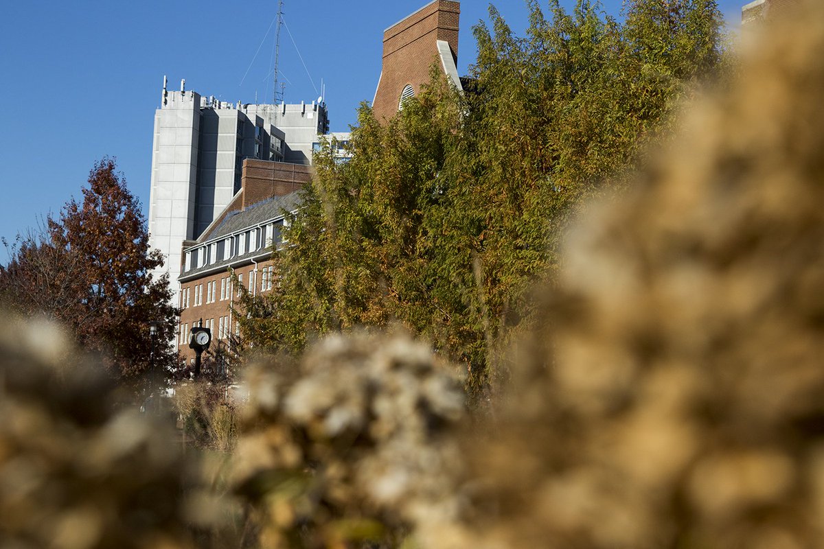 UDelaware's tweet photo. Good morning on another beautiful #UDAutumn day. Soak it all in before Thanksgiving break! https://t.co/kn93dPTf3I