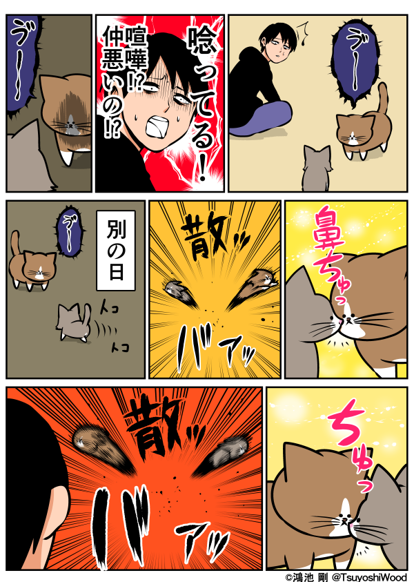 鴻池 剛 漫画日記 何これ T Co Nhsix0ymds T Co 5w9gvjsp72 鴻池 剛 漫画日記 何これ T Co Nhsix0ymds T Co 5w9gvjsp72