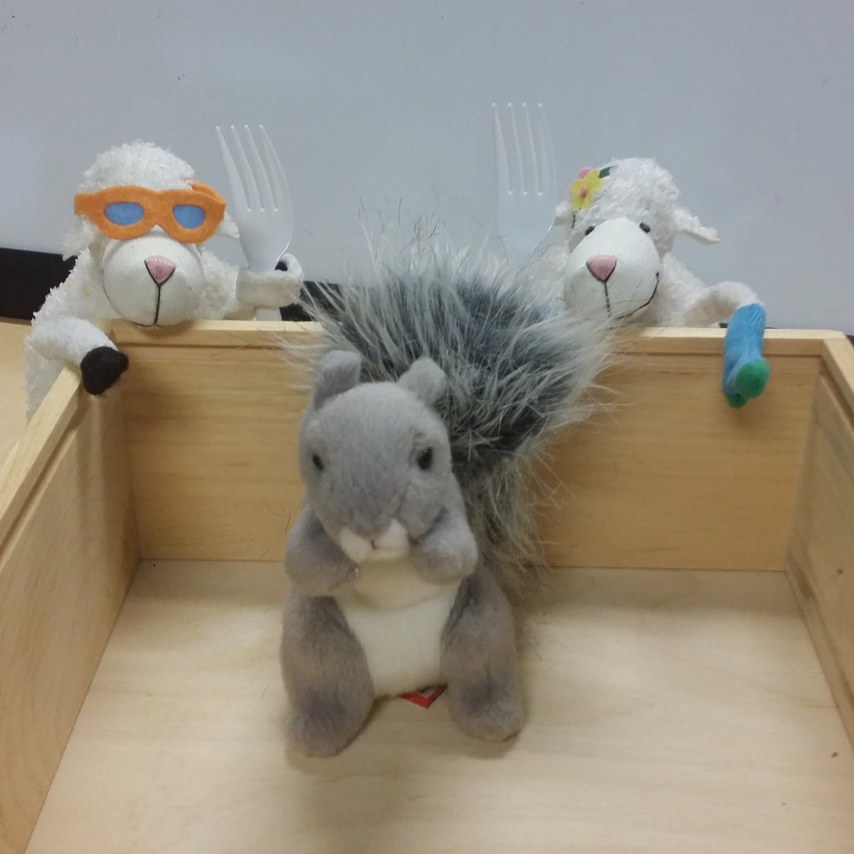 kerrycoffman's tweet photo. Arthur wonders if his plan to surprise the #SheepDuJour may have taken an unexpected turn. #SquirrelTale https://t.co/nXXYaZoT4w