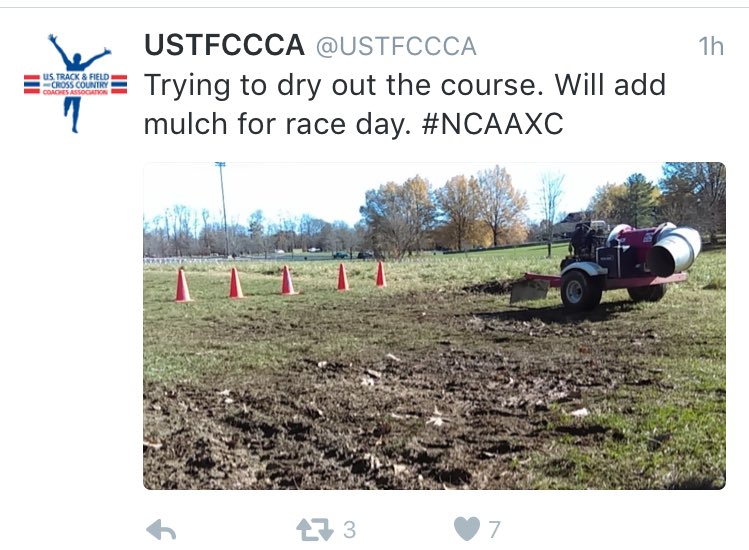 jennynesbitt's tweet photo. Pretty sure this doesn't happen for real cross country #AlwaysBritish #AlwaysTheBest #ProperXCIsTheBestXC https://t.co/LDcW7mOuvH
