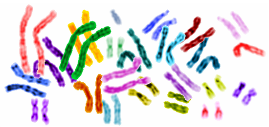Quest's tweet photo. Keeping Pace with Next Generation #Genomics https://t.co/puwTkcUJkI #BigData https://t.co/NqcvSaZggP