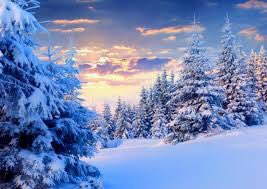 EYurlova tweet picture
