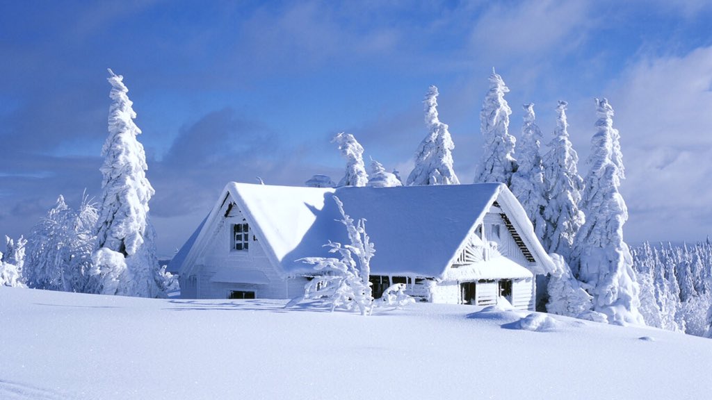 EYurlova tweet picture