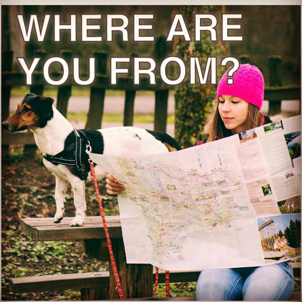 tickledpet's tweet photo. Tell us in you comments! #traveltheworld #citizensoftheworld #tickledpet https://t.co/r8O09Q88ph