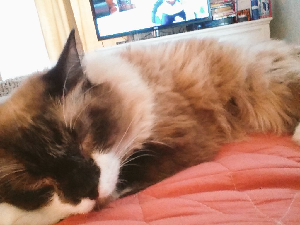 oliviafonte's tweet image. Cutie💙