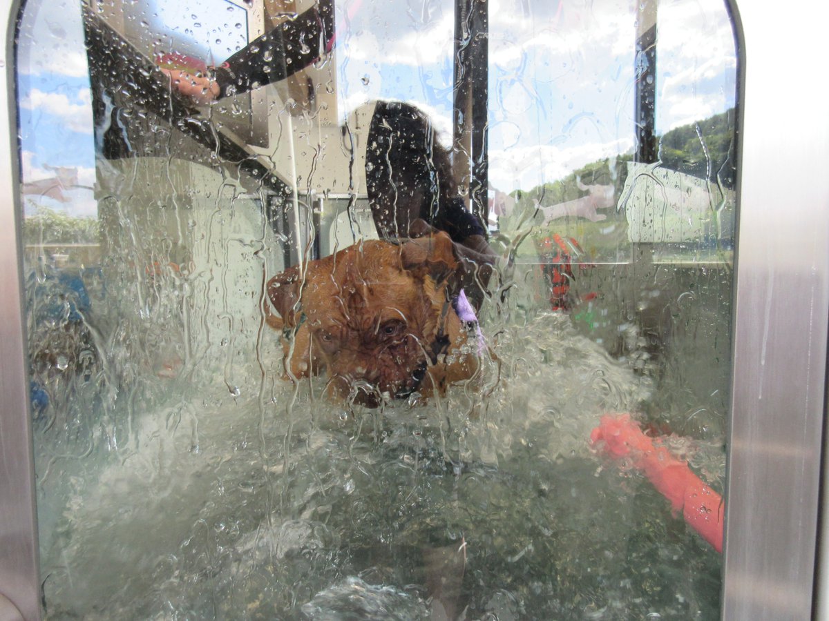 He likes to make a splash!