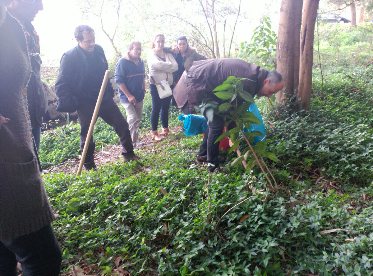 Pola tarde coas mans na masa