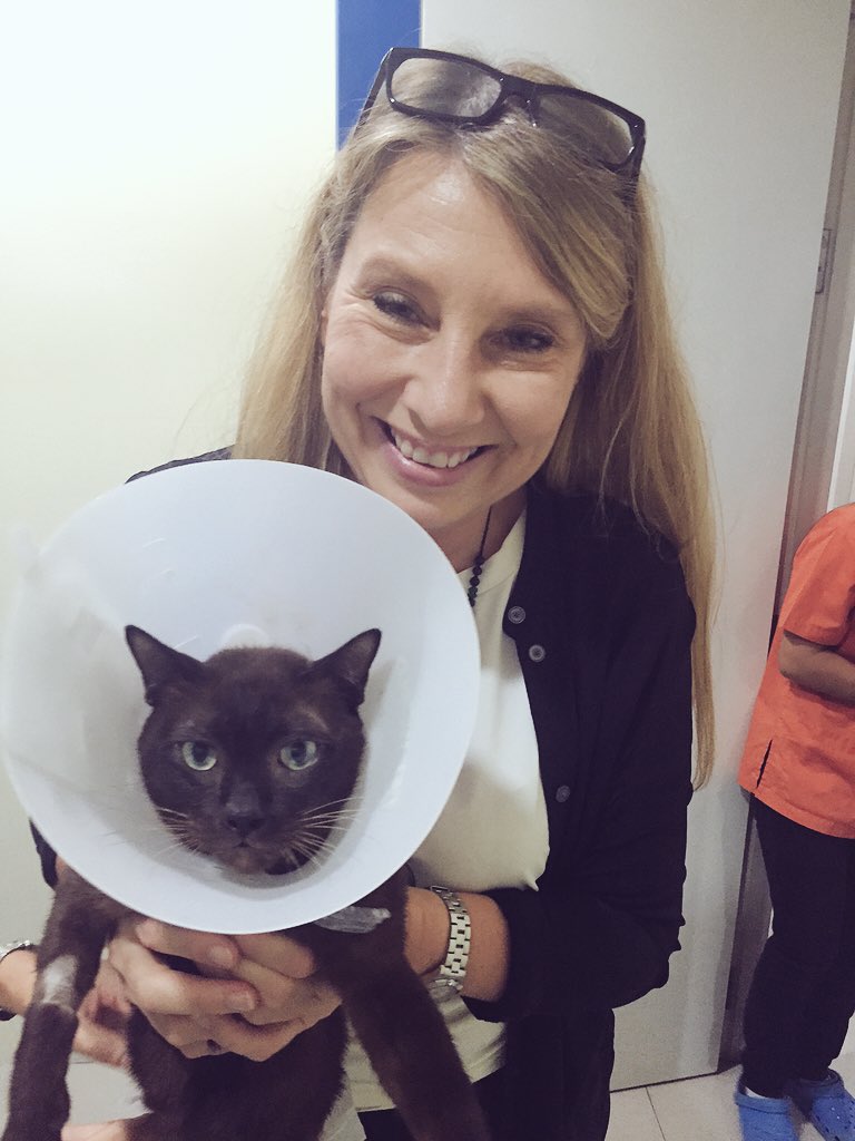 Frognerfrua's tweet image. As in the crazy cat lady I'm now happy my cat survives - 3 surgeries done #cat #surgery #9lives #pet