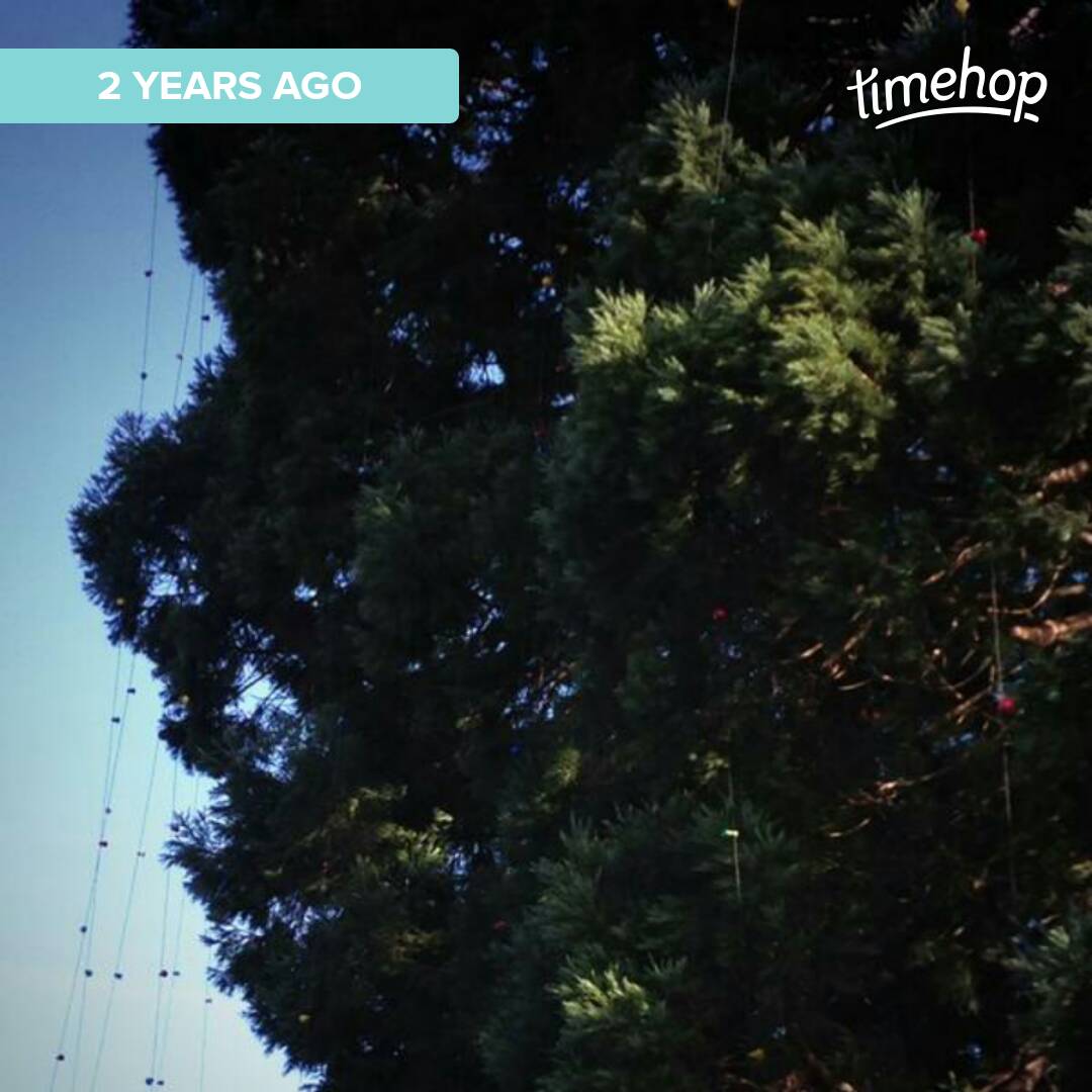 GierschNatalie's tweet image. Missing this. #willamette_u