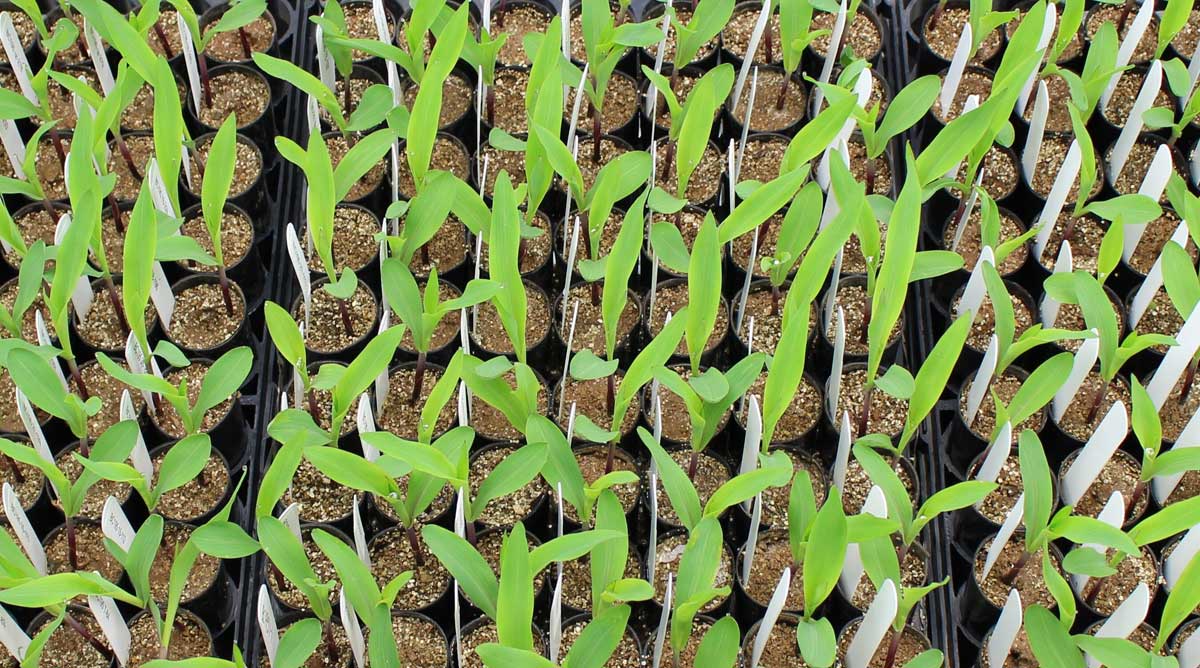 Erin Lenhardt tweet media