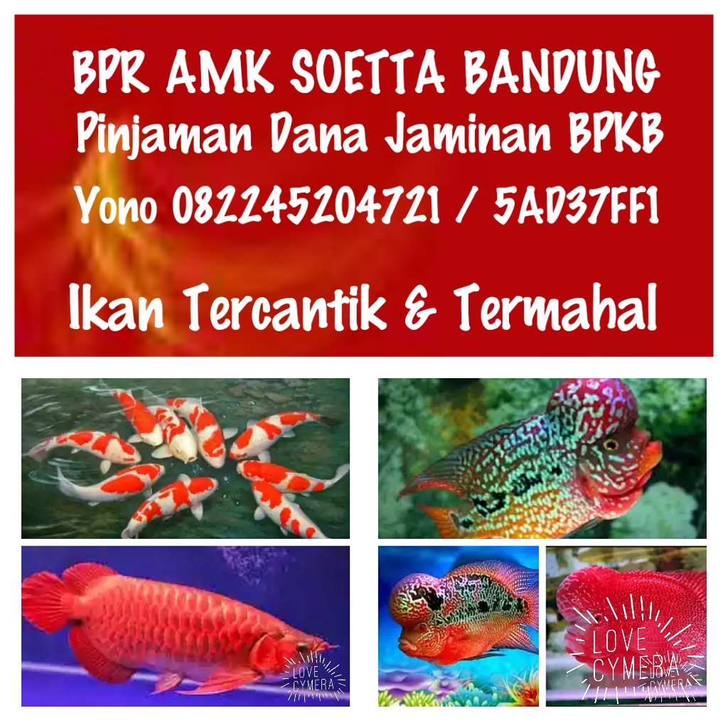 massastrobck's tweet image. Gak tahu siapa yg kurindukan...!!!