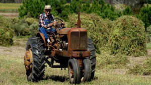 Fotos: Tractores a traves del tiempo
agriculturers.com/tractores-a-tr…