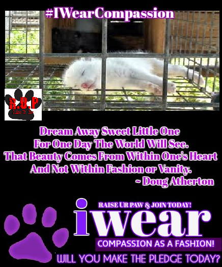 RaiseUrPaw's tweet photo. Pls #RT &amp; JOIN the #IWearCompassion Movement - https://t.co/dLpLH0tVlW - Fur Free Friday and Everyday. https://t.co/GebrDFQ5ag