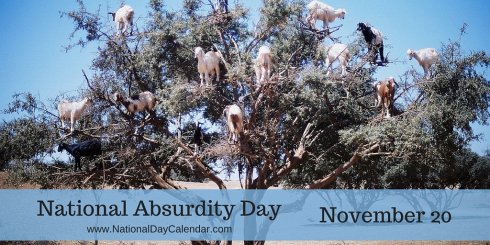 dkDesignBuild's tweet image. Do whatever absurd things that pop into your mind. (Please keep safety in mind)  #NationalAbsurdityDay #FunFriday