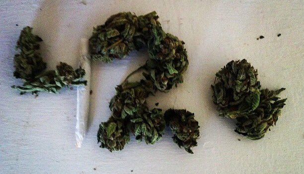 kushandwaffles's tweet photo. 🍁🍁🍁 #FollowFriday 🍁🍁🍁 #Retweet this FollowTrain 🚂💨💨 #followme &amp; who #RT &amp; #Gain new STONERS 2 light up #TeamKUSH https://t.co/7KZKzN0ijL