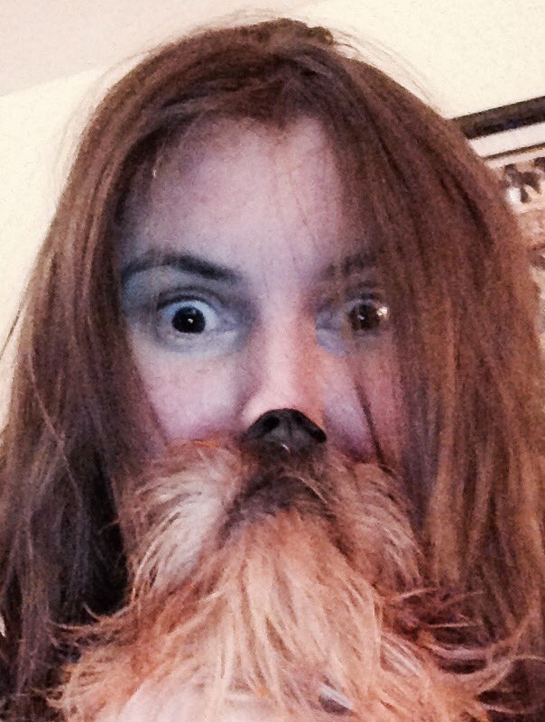 batcarter's tweet photo. Yesterday I discovered the beauty that is a #DogBeard Today I've mostly been #DogBearding #Dachshund #SausageDog https://t.co/pBfEBxN0OM