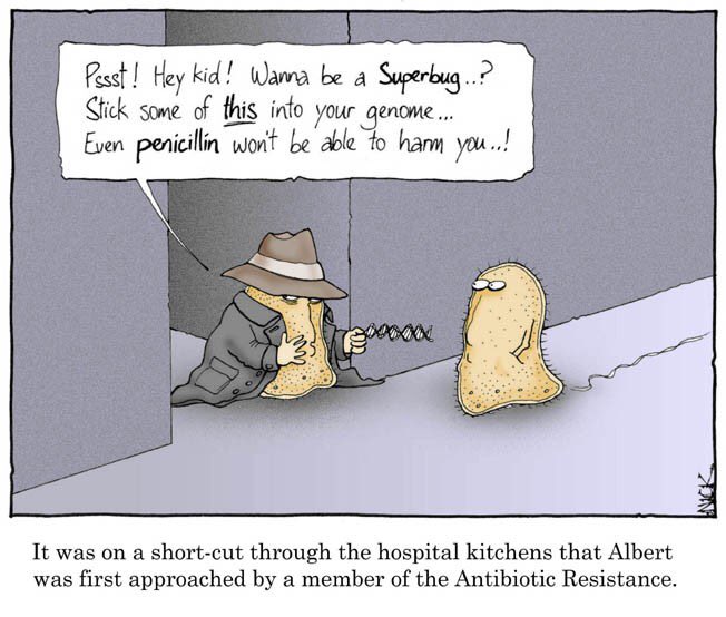 zestycasey's tweet photo. The evolution of antibiotic resistance.. @OxyEvo https://t.co/Q9X7uvjA8V