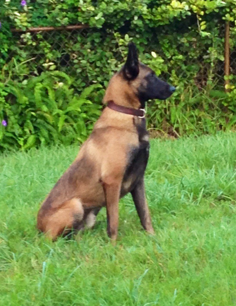 TitusvillePD's tweet photo. TPD HERO JACK https://t.co/VJ5aavyizy