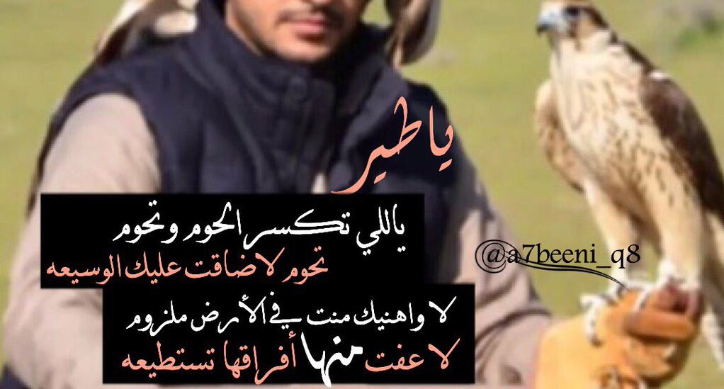 النفس ماتعشق إلاالصعب في نوله
ولا كل ريشٍ يطير يرغبه طيري
لاصار عادي وكلّن يقدر يطوله
هونت ماهو انا اللي يعشق العادي