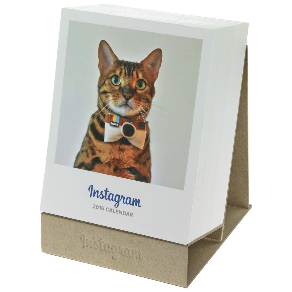 humaneworldorg's tweet photo. The ridiculously adorable 2016 Animals of @Instagram calendar is now available in our store: https://t.co/k4CWBZa2ZD https://t.co/TEVMbkziev