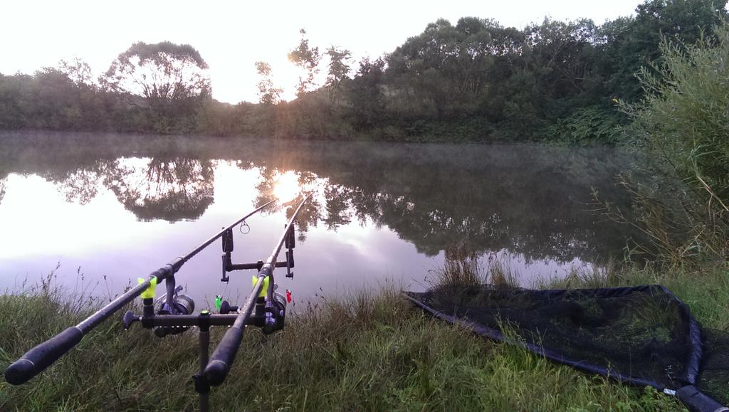 timlay98's tweet image. Just beautiful #oncarp