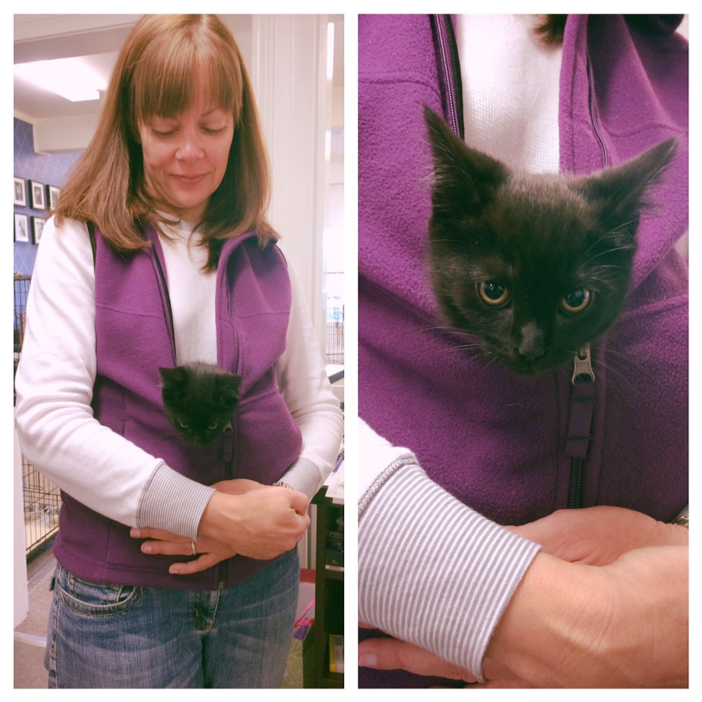 MultCoPets's tweet photo. Luna enjoying some special cuddle rm w/ volunteer Ronda. https://t.co/172jTtvIe6 #Adopt #PDX #MultCoPets https://t.co/pDFrKJo7YR